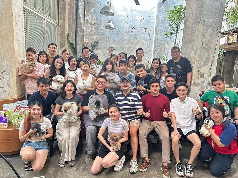 可爱兔兔合照