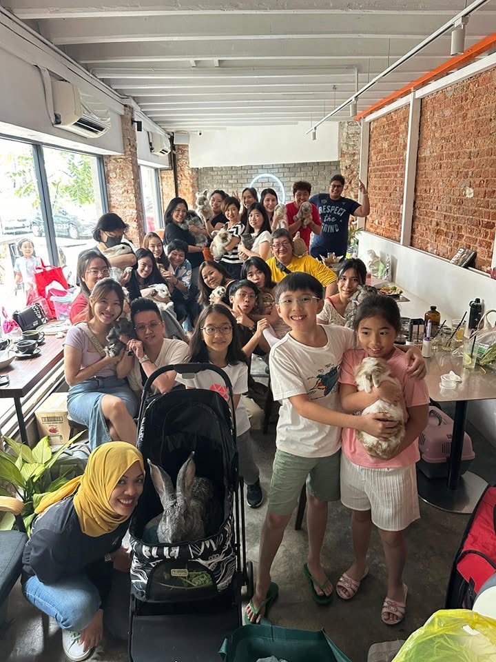 兔友聚会